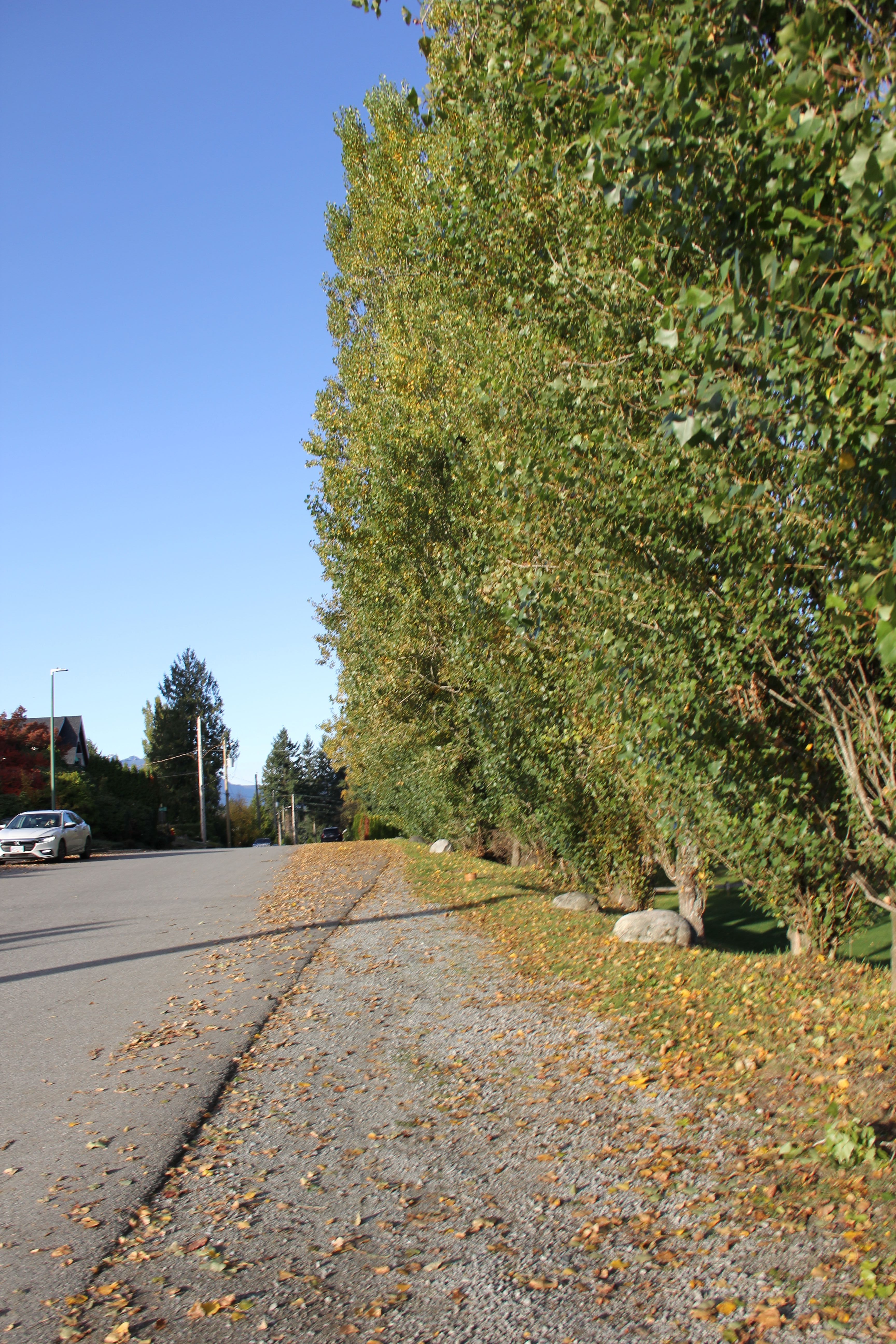 Private Room 5 for Rent in Burquitlam with High-Speed Internet